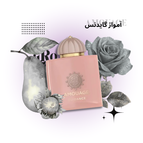 آمواژ گایدنس